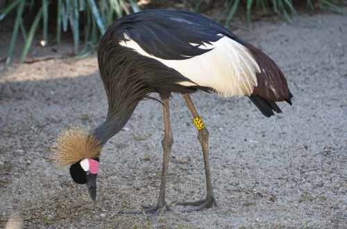 World of Birds Wildlife Sanctuary.